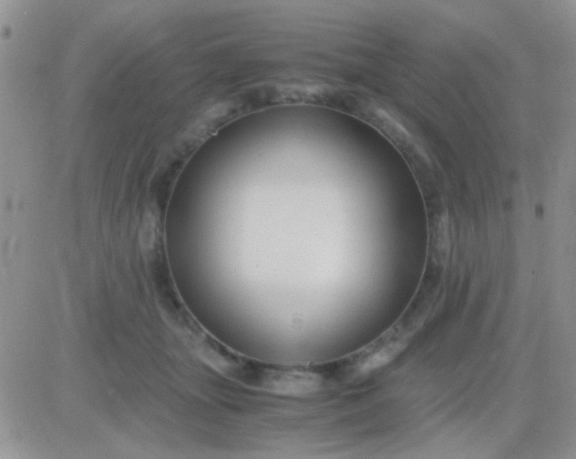 X0000081390463200701252108