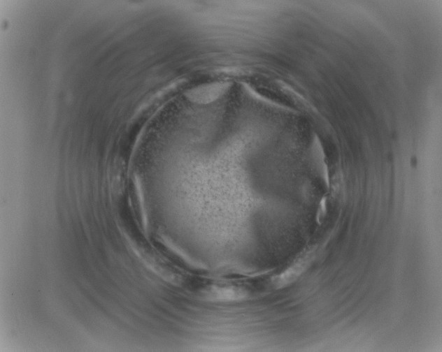 X0000081390464200701252108