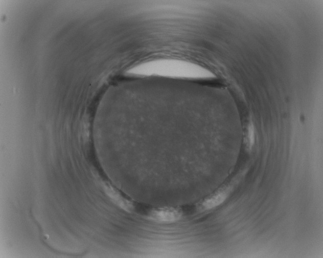 X0000081390466200701252109