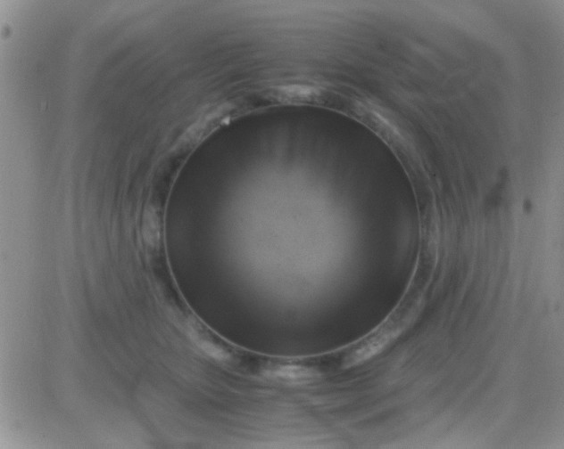 X0000081390467200701252109