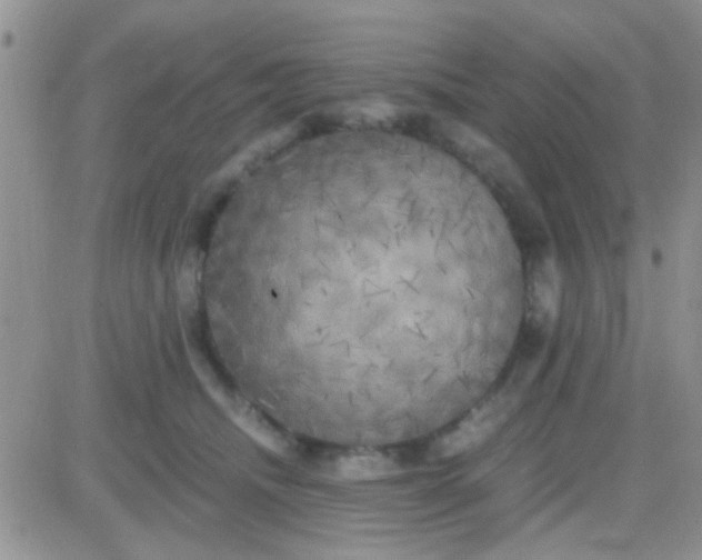 X0000081390468200701252109