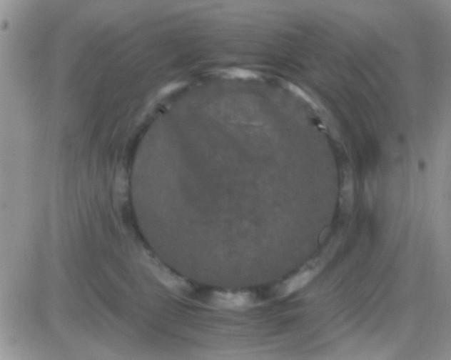 X0000081390469200701252109