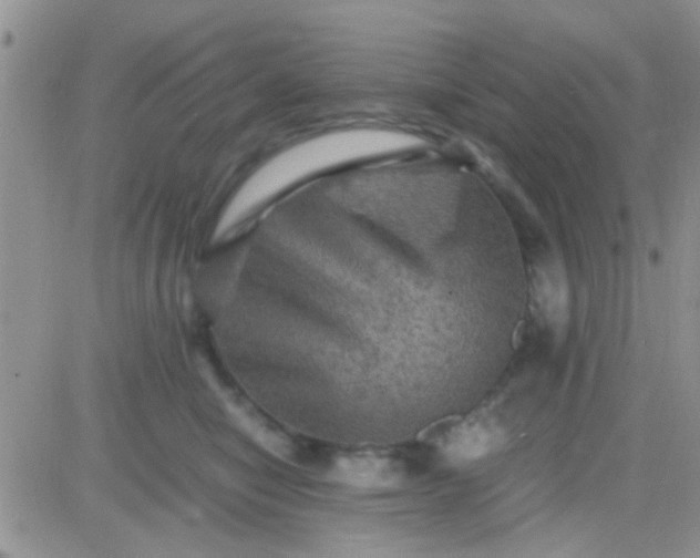 X0000081390470200701252109