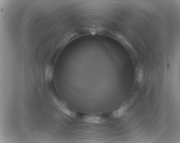 X0000081390471200701252109