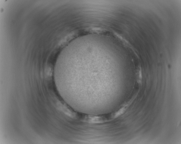 X0000081390472200701252109