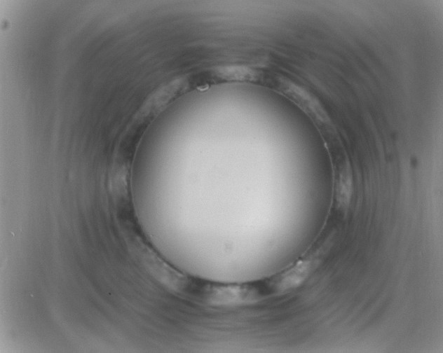 X0000081390473200701252109