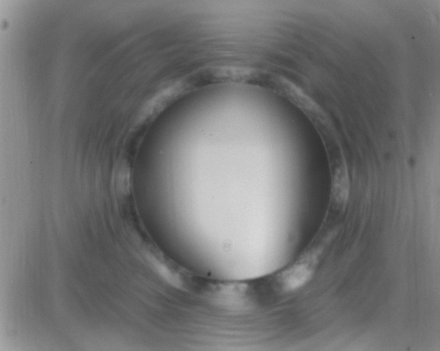 X0000081390474200701252109