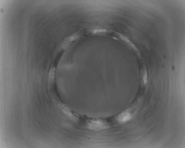 X0000081390475200701252109