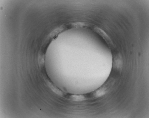 X0000081390477200701252109