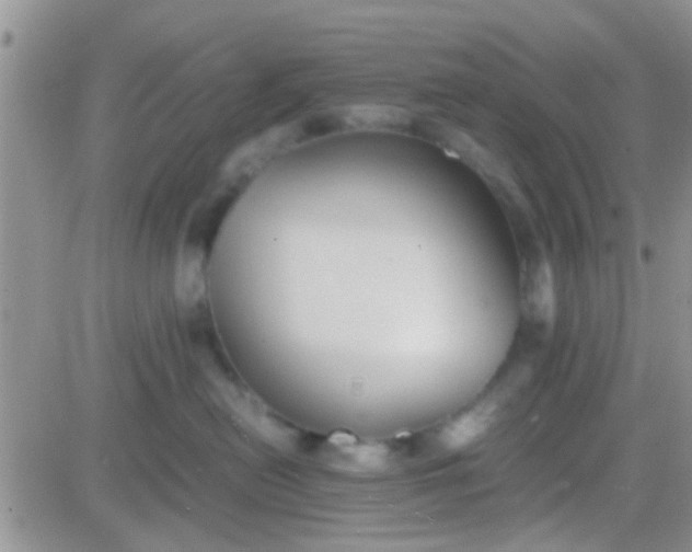 X0000081390478200701252109