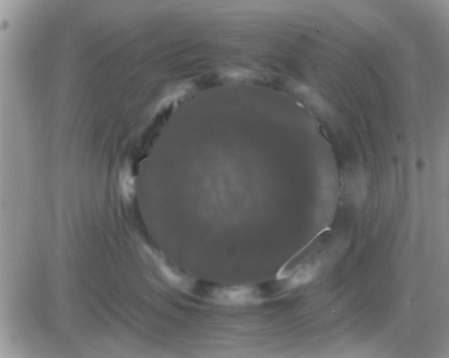 X0000081390479200701252109