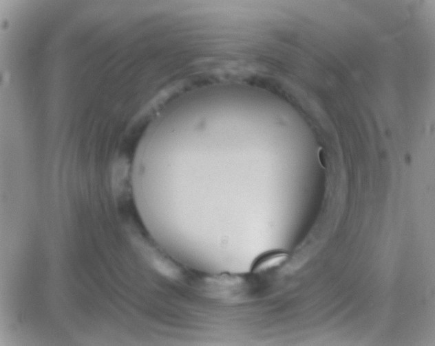 X0000081390480200701252109