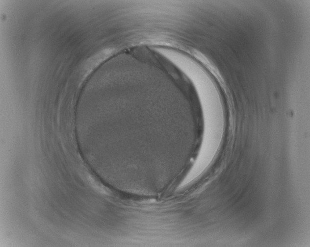 X0000081390481200701252108