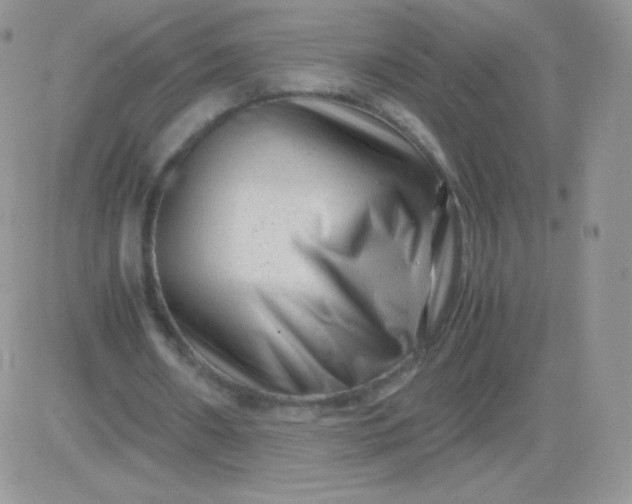 X0000081390482200701252108