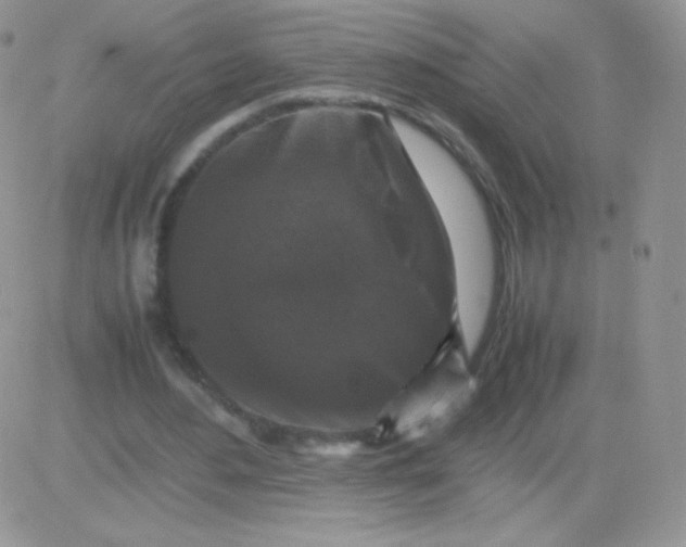 X0000081390484200701252108