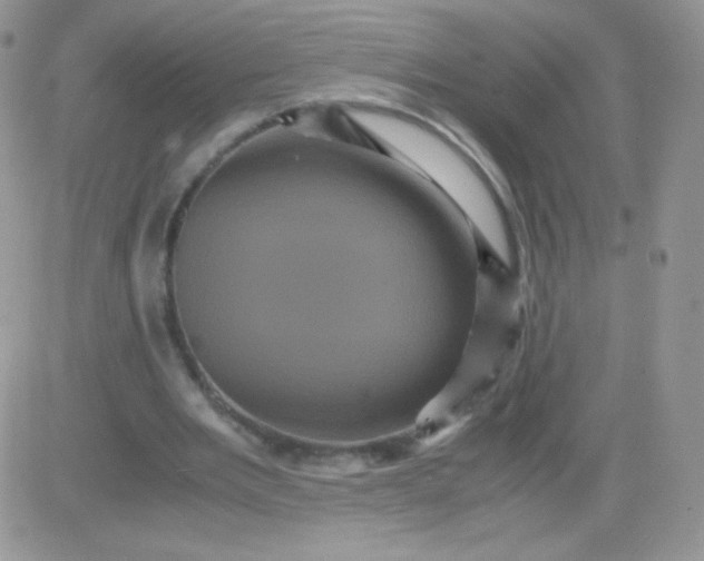 X0000081390485200701252108