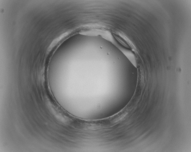 X0000081390486200701252108