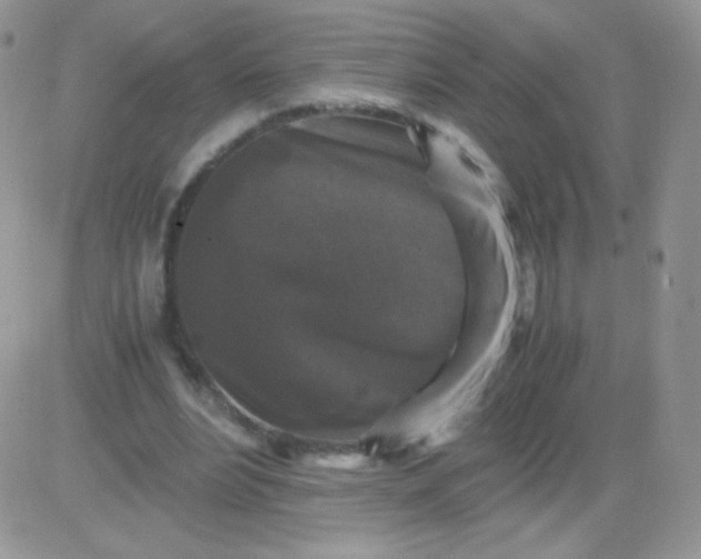 X0000081390488200701252108