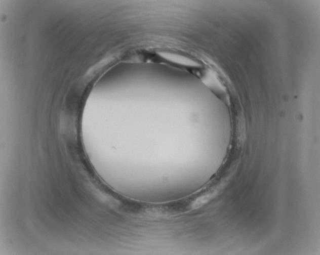 X0000081390489200701252108