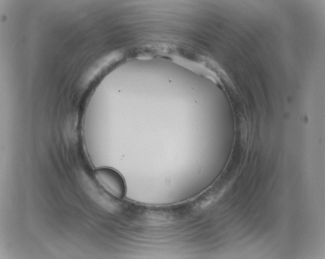 X0000081390490200701252108