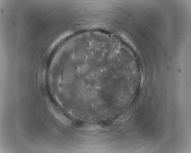 X0000081390491200701252108