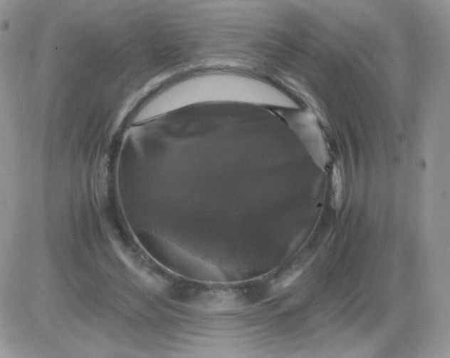 X0000081390492200701252108