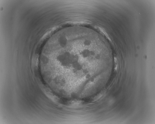 X0000081390495200701252108