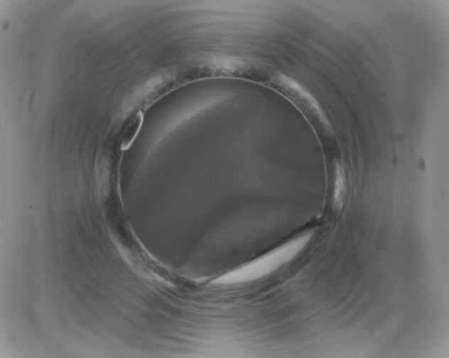 X0000081390496200701252108