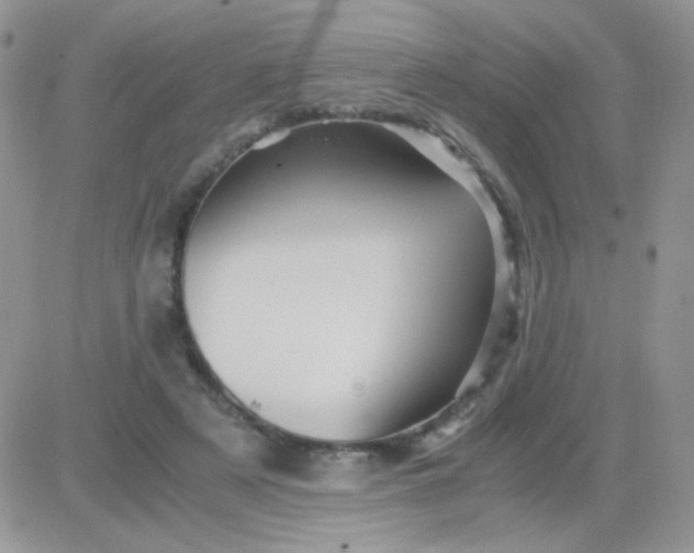 X0000081390497200701252108