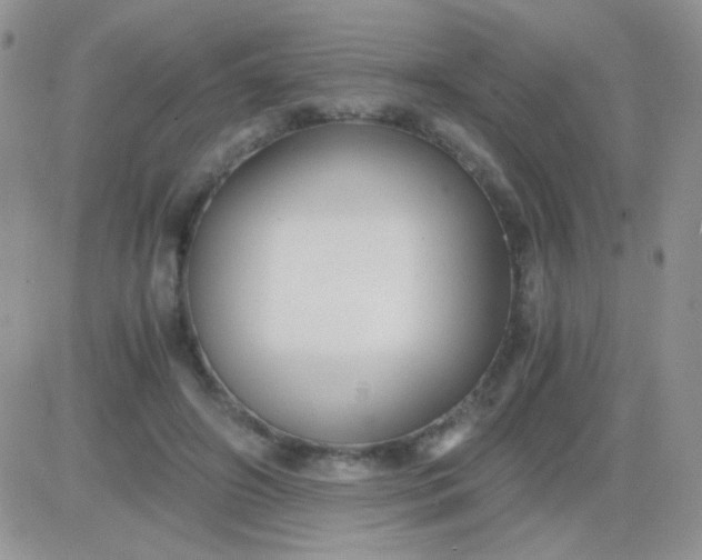 X0000081390498200701252108