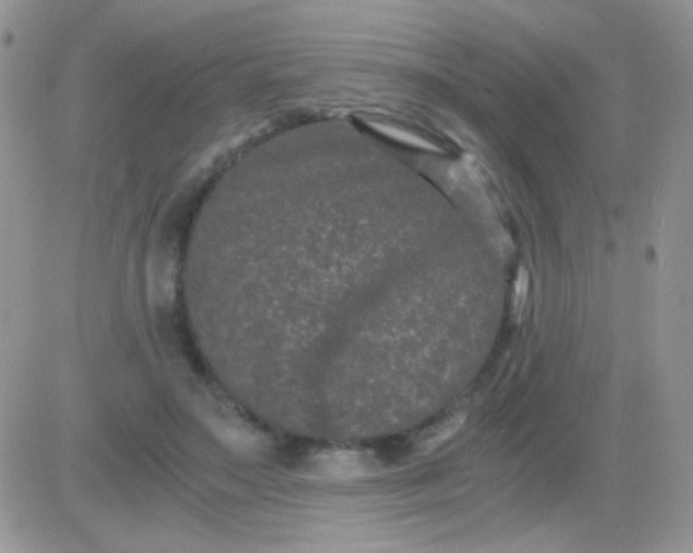 X0000081390499200701252108