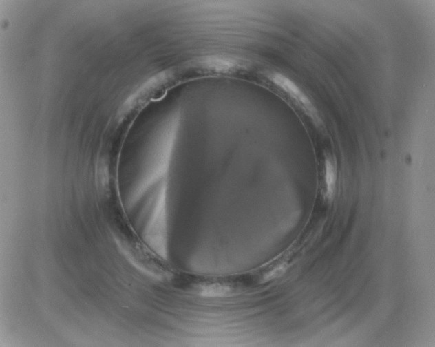 X0000081390500200701252108