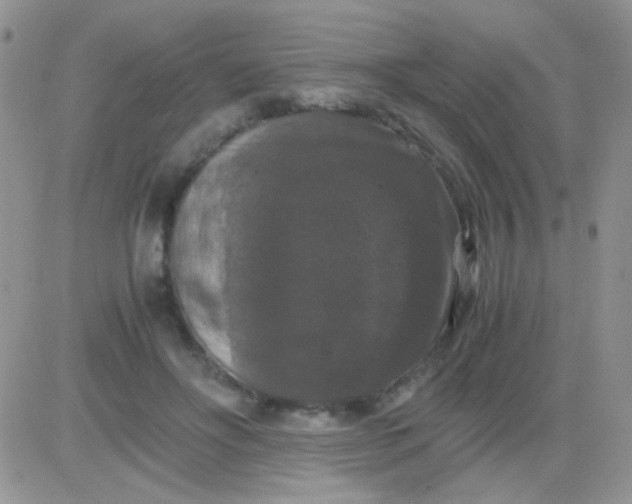 X0000081390502200701252108