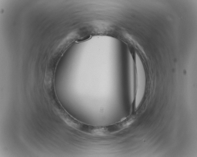 X0000081390505200701252108