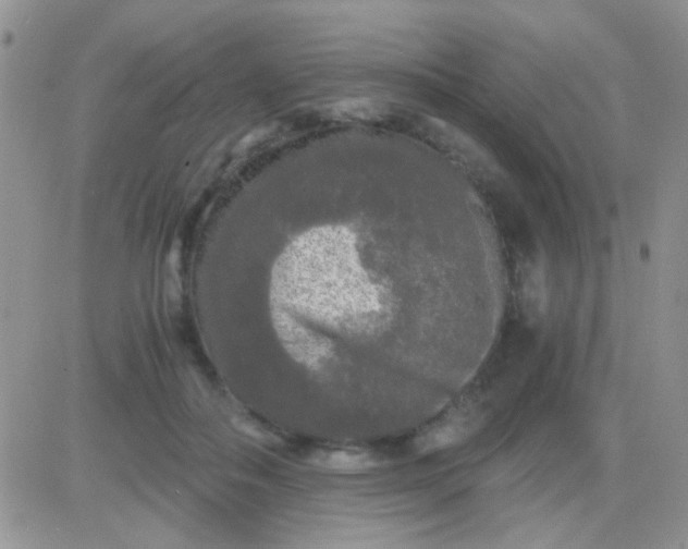 X0000081390506200701252108