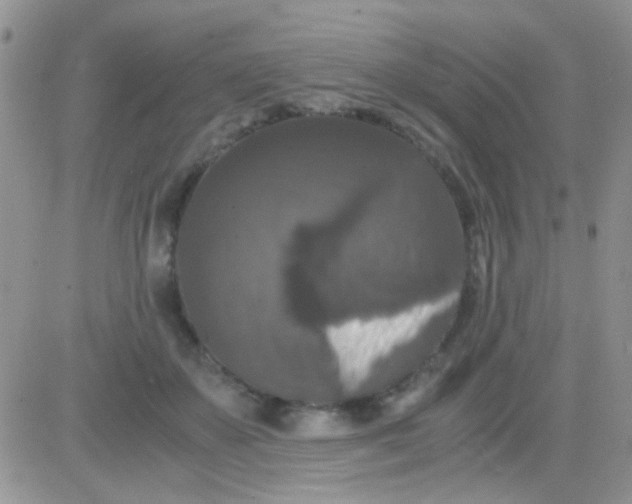 X0000081390507200701252108