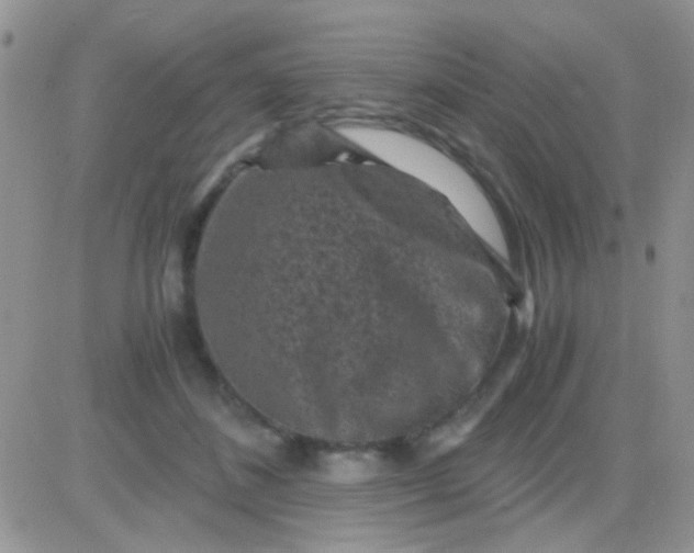 X0000081390508200701252108