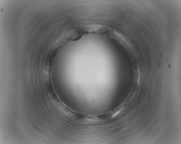 X0000081390510200701252108