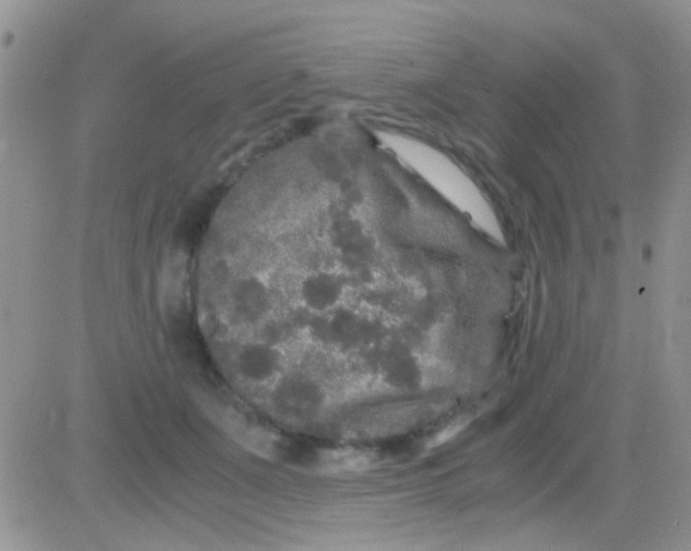 X0000081390511200701252107