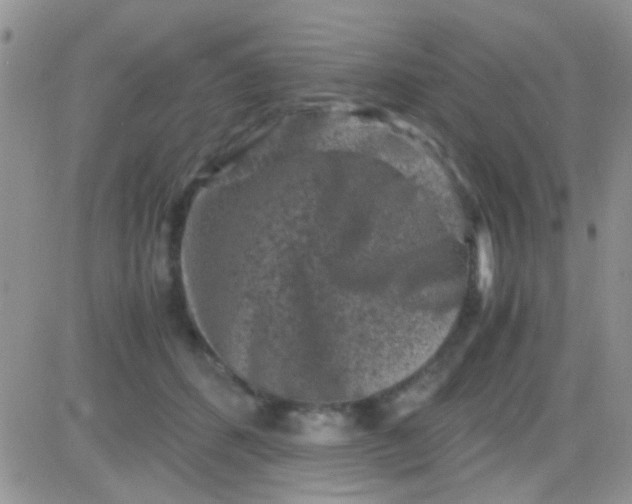 X0000081390512200701252107