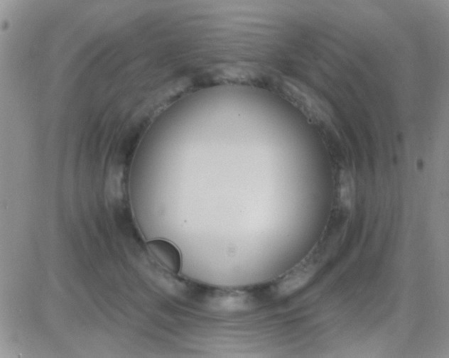 X0000081390514200701252107