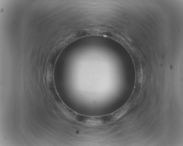 X0000081390515200701252107