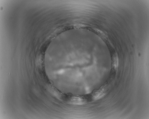 X0000081390519200701252107