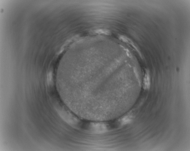 X0000081390520200701252107