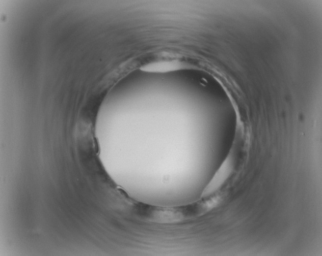 X0000081390521200701252107