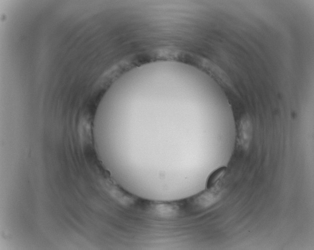 X0000081390522200701252107