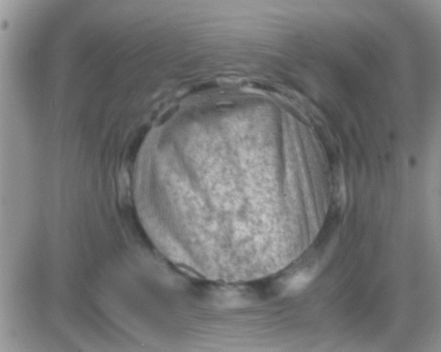 X0000081390523200701252107