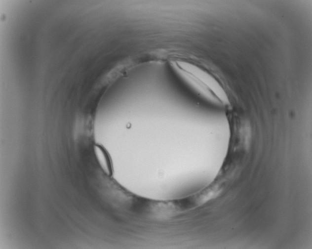 X0000081390525200701252107