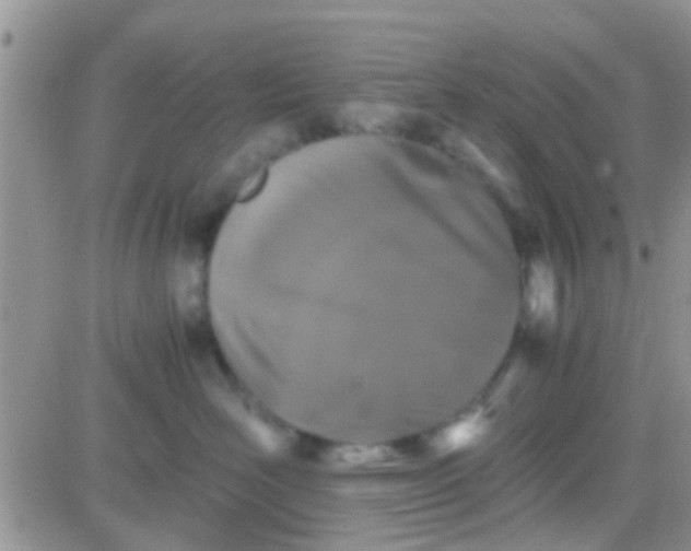 X0000081390526200701252107