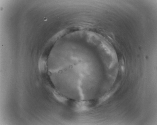 X0000081390527200701252107